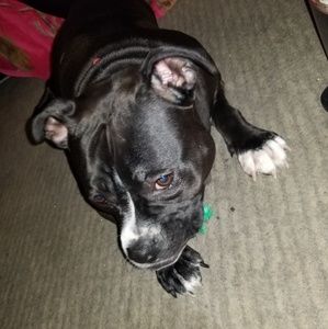 Meet your Posher, Cloe